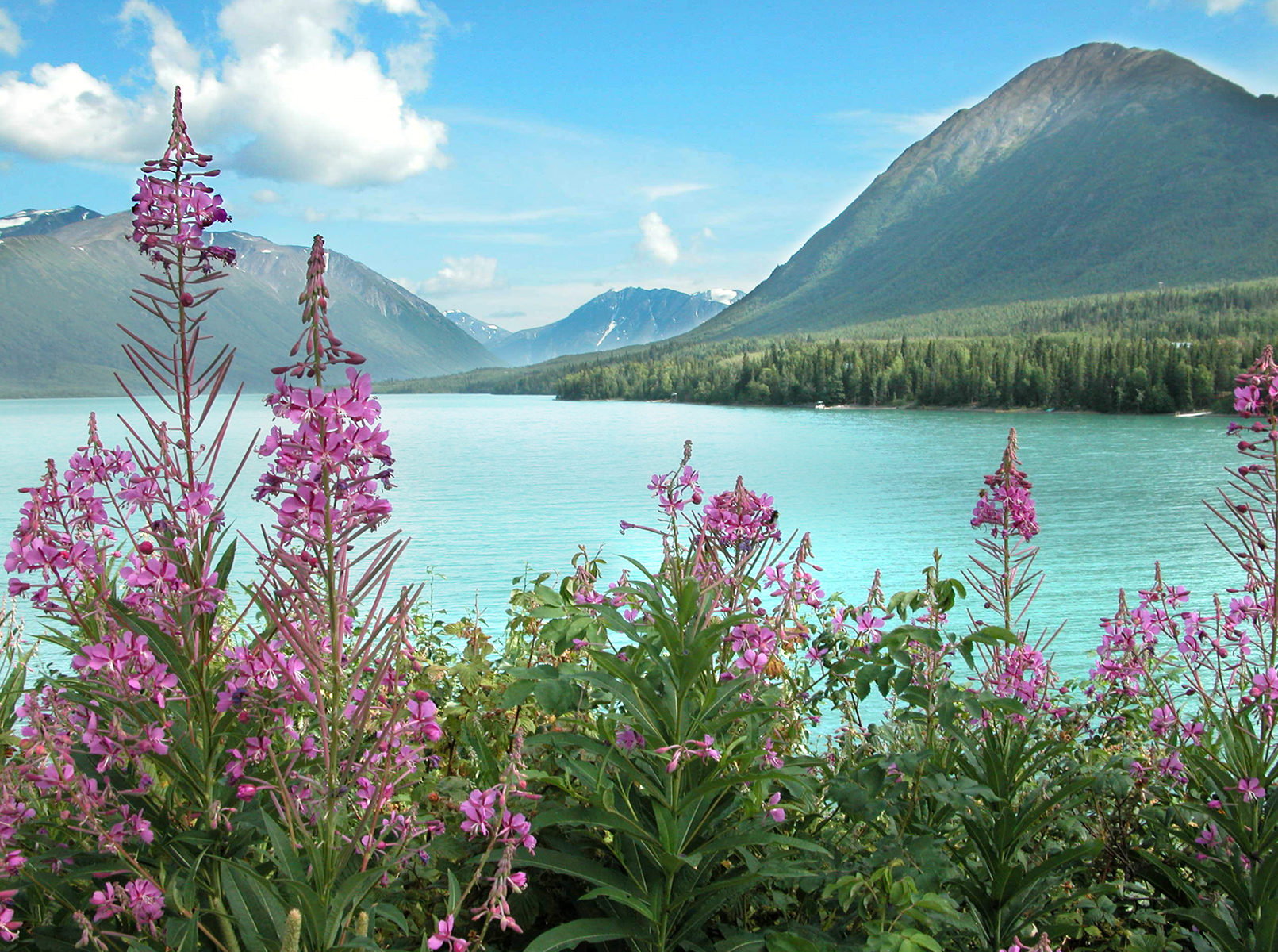 Alaska and Coastal North America